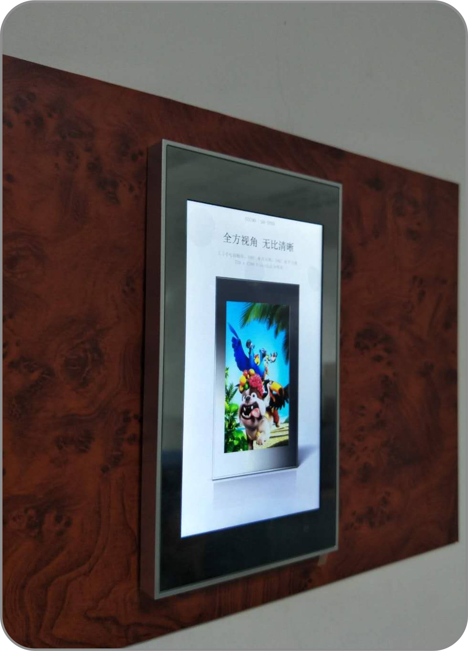 CP55  LCD Touch Screen